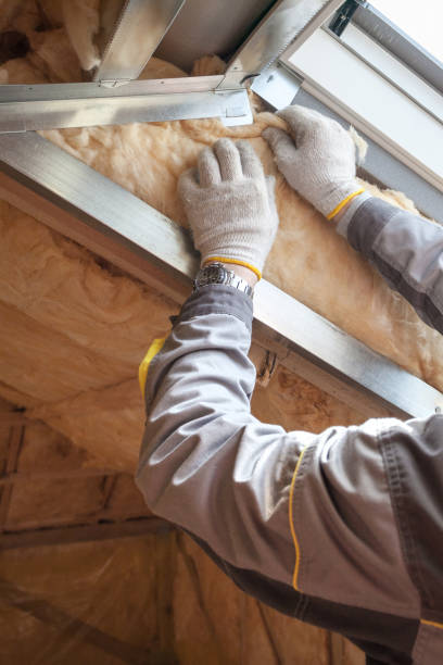 Best Spray Foam Insulation in Omao, HI